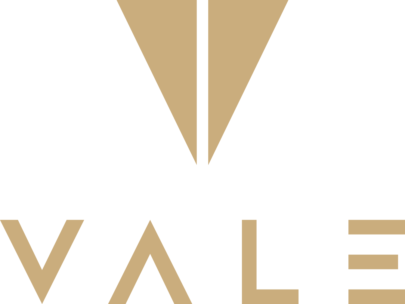 VALE T-paita unisex "peach"